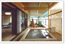 �I�V���C�t�q��