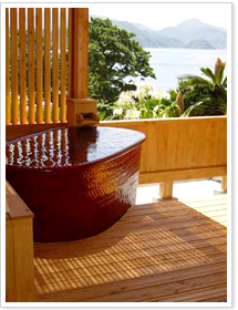 �q���I�V���C�i���핗�C�|�ԓS�ցj