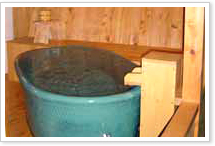 �q���I�V���C�i���핗�C�|�ΐ��q�j