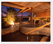 ��������̉�