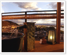 �q���I�V���C