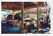 1F�I�V���C�u��܂Ԃ��v