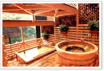 ���q�I�V���C