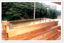 �j�q�I�V���C