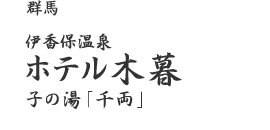 �ɍ��ۉ���z�e���ؕ�