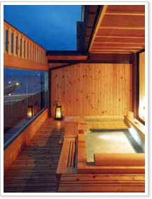 �ŏ�K�@�ݐؘI�V���C�u�C�S�i�v�g